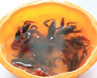 口味虾_郫县-毫毛-桂皮-龙虾-