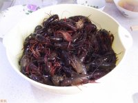 豆豉炒龙虾_桂皮-豆豉-茶匙-主料-