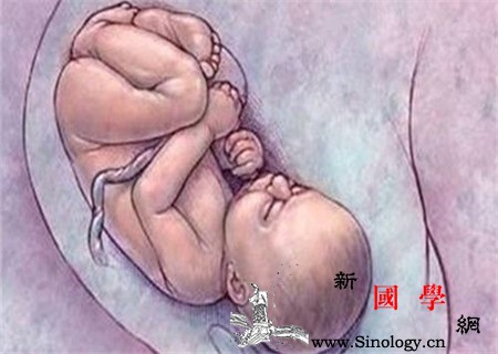 胎头入盆后多久会生不是立即哦_初产妇-骨盆-胎儿-孕妇-