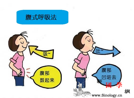 腹式呼吸_横膈膜-胸廓-呼气-屏息-