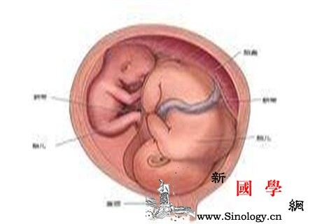 减胎对另一个胎儿有影响吗减胎知识要了解_胚胎-妊娠-胎儿-流产-