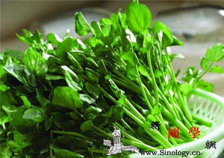 吃什么保养卵巢最好7种食物帮你时刻保持年轻_叶酸-雌激素-帮你-卵巢-怀孕准备