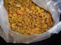 葡萄干粽子_系紧-马蹄莲-葡萄干-糯米-