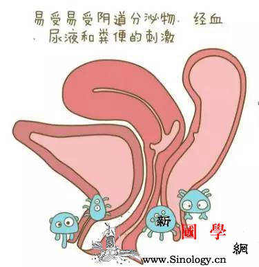 妇科炎症高发？夏日更需呵护_白带-阴道炎-夏季-盆腔炎-孕前检查
