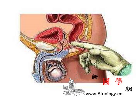 肛门指检多久一次根据自身情况出发_受检-直肠癌-肿块-直肠-