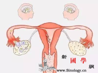 影响女性卵泡发育的因素有哪些？_卵泡-垂体-排卵-卵巢-怀孕准备