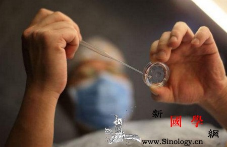 人工授精成功率大约多少？掌握5点提高人工授精_卵泡-精液-精子-妊娠-怀孕准备