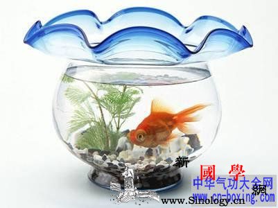 从风水学上看你是不是适合养鱼_东向-向南-养鱼-鱼缸-