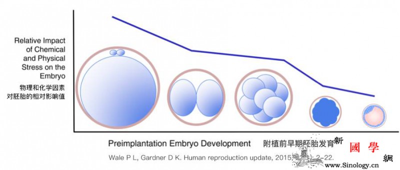 影响试管婴儿诞生的因素都有哪些？_囊胚-试管婴儿-胚胎-因素-不孕不育