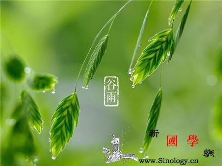 谷雨是什么意思_仓颉-谷类作物-白水县-史官-