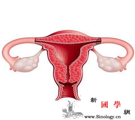 影响妊娠率的两大关键是什么？胚胎种植会受到哪_胚胎-妊娠-子宫-种植-不孕不育