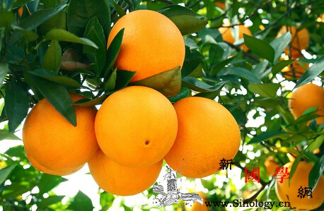 幼儿急疹能吃什么水果_微量元素-富含-橘子-香蕉-