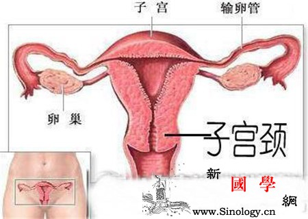 宫颈炎的症状有哪些_病原体-息肉-白带-外阴- ()