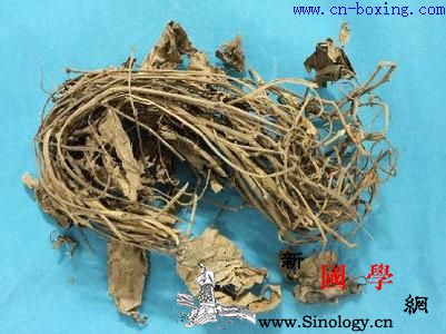 海风藤的功效与作用_建昌-李时珍-丁公藤-海风藤-