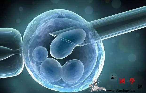 提高试管婴儿成功率这些误区你搞明白了吗？_试管婴儿-卵子-试管-胚胎-不孕不育