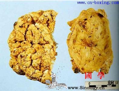 道医教你识别伪劣紫河车_伪品-紫河车-扁圆形-球蛋白-