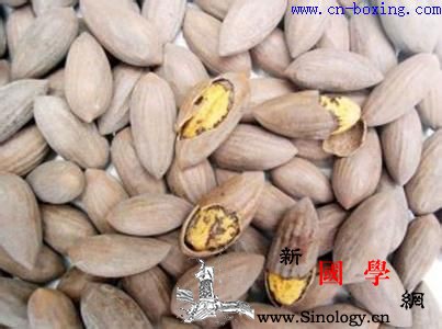 道医教你识别真假榧子_杀虫-榧子-教你-真假-