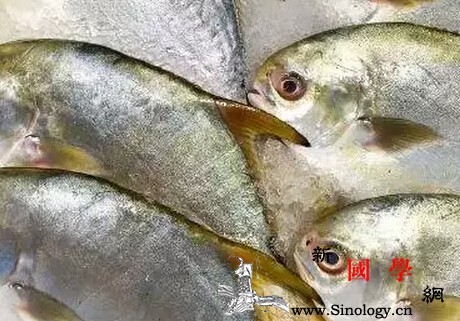 宝宝烫伤可以吃鱼吗？你还在相信烫伤吃鱼会发炎_烫伤-石首鱼-蛋白质-吃鱼-