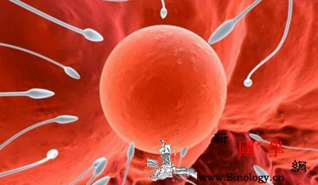 男性养精知识不如规律地排精_附睾-禁欲-疗程-精子-怀孕准备