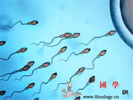 精子畸形率多少是正常的精子畸形率高对生育有_精液-精子-畸形-形态-孕前检查