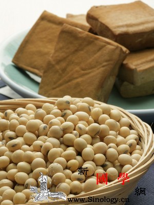 孕妇吃素要注意什么_摄取-素食-维他命-蛋白质-