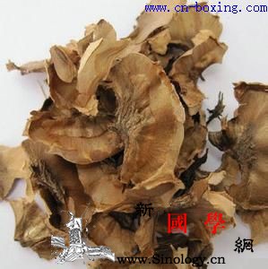 分心木的功效与作用_分心-尿血-功效-遗精-