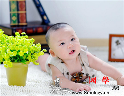 婴儿旁边能放花吗？_吊兰-误食-会使-毒素-