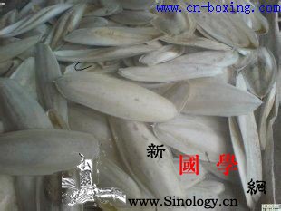 海螵蛸的功效与作用_羟色胺-金乌-海螵蛸-乌贼-