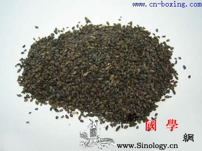 车前子的功效与作用_车前子-咳喘-集注-功效-