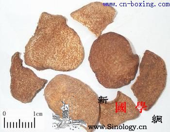 道医教你如何识别真假黄药子_教你-伪品-块根-块茎-