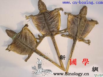 道医教你如何识别真假蛤蚧_李时珍-教你-伪品-蛤蚧-