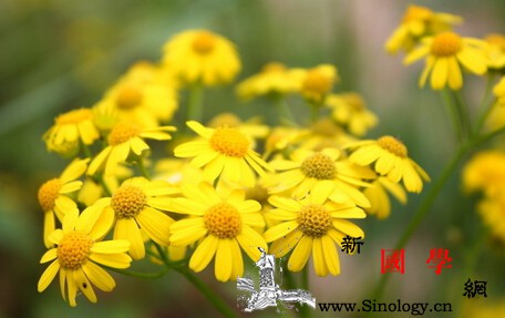 宝宝皮肤过敏痒怎么办才好_止痒-干爽-瘙痒-头发-