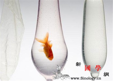 怎样才能不怀孕_宫内-复方-避孕药-剂量-
