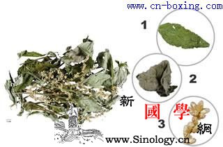 道医教你识别真假刘寄奴_刘寄奴-伪品-蒿子-金疮-