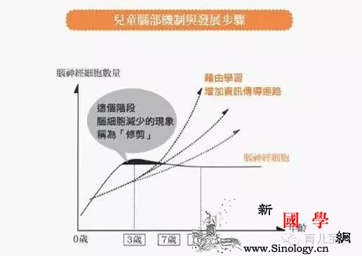 3岁、7岁、10岁为何是重要转折点？_脑神经-潜能-细胞-锻炼-