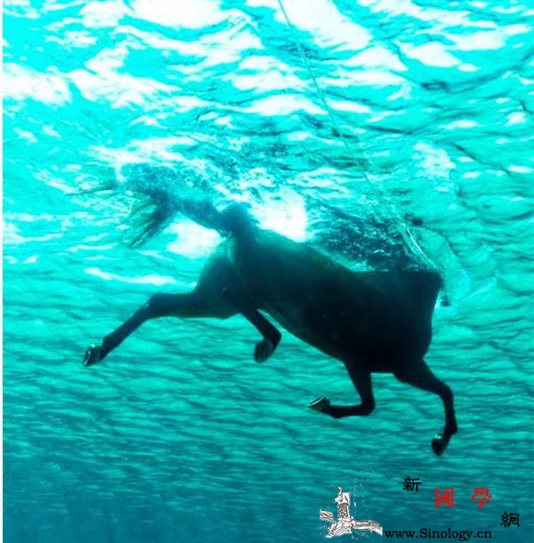 孩子做错事不可怕可怕的是你的第一句话_责备-消极-父母-错误-