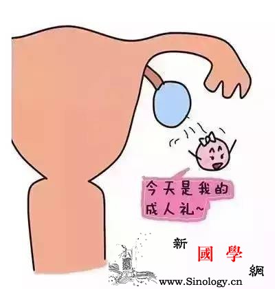 双胞胎是怎么怀上的？双胞胎是怎么形成的？_羊膜-受精卵-脐带-卵子-生男生女