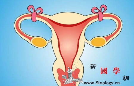 女人结扎后能不能把输卵管接上重新怀孕？_结扎-输卵管-通畅-接上-怀孕准备