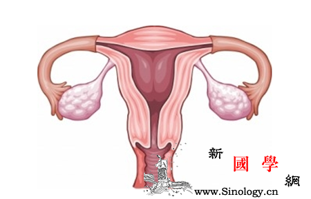 卵巢黄体破裂怎么治疗黄体破裂一定要及时治疗_宫外孕-囊肿-卵巢-破裂-怀孕准备