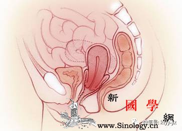 揭晓产后子宫脱垂大真相千万得小心！_脱出-分娩-阴道-产后-