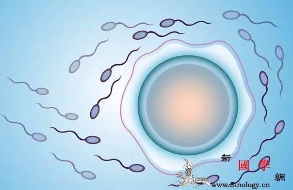 备孕很久都怀不上孩子是怎么回事？如何自我排查_卵巢-月经-怀孕-排查-怀孕准备