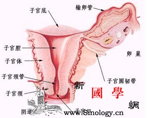 患有轻度慢性宫颈炎如何备孕_子宫颈-宫颈-阴道-局部-