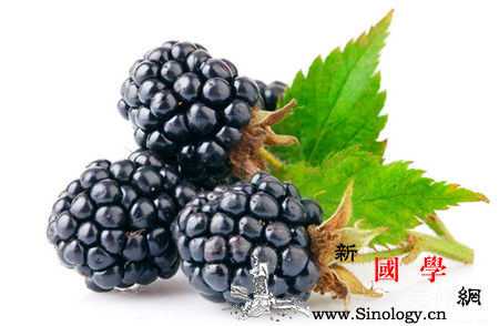 孕妇能吃桑葚吗_桑葚-桑椹-淘米-乌发-