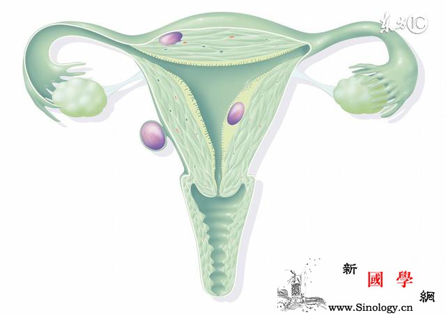 产后子宫修复子宫脱垂怎么办_乳头-产妇-产后-子宫-