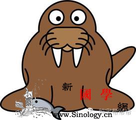 这样教宝宝认动物你也能考上中戏！_海象-认知-动物-妈妈-