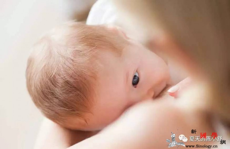 母乳的产量和乳房的大小有关系吗？_乳汁-母乳-分泌-乳房-