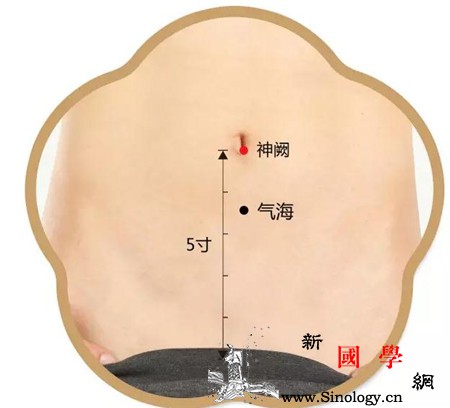三伏天艾灸常用穴位穴位介绍_元阳-艾灸-伏天-脾胃-