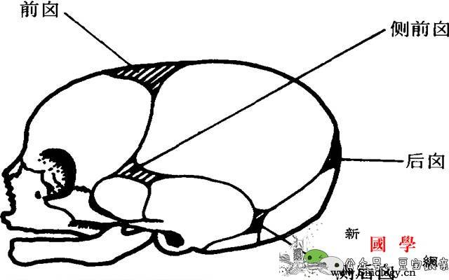 宝宝囟门出现这4种情况不管多忙都要赶紧带宝_囟门-闭合-凹陷-宝宝-