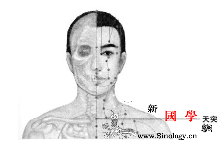 三伏贴穴位图_伏贴-胸椎-适用于-气喘-