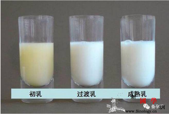 新妈须知前奶和后奶喂养的误区有哪些？_初乳-乳汁-脂肪-妈妈-